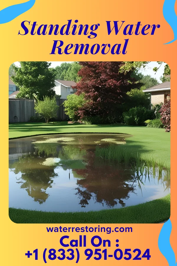 Standing Water Removal in Piqua, OH